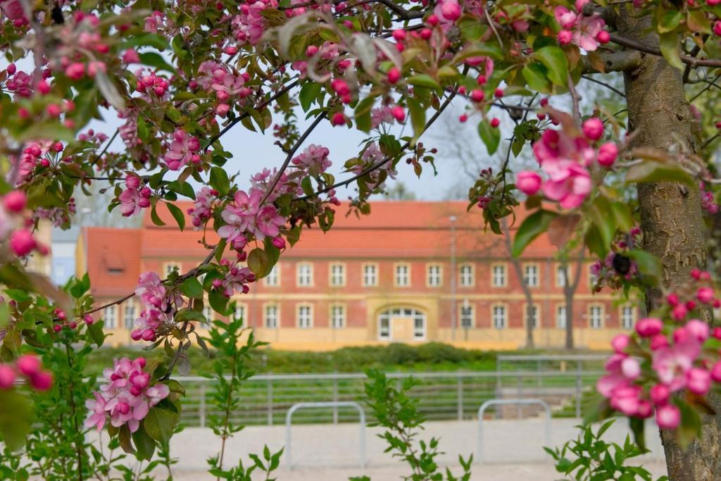 Hotel Vierseithof Luckenwalde Ngoại thất bức ảnh