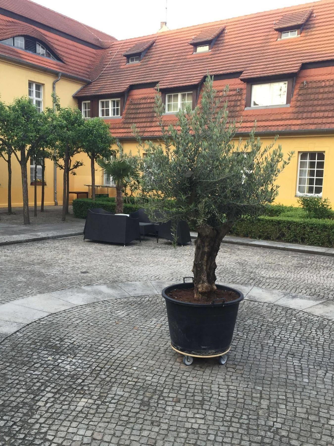 Hotel Vierseithof Luckenwalde Ngoại thất bức ảnh